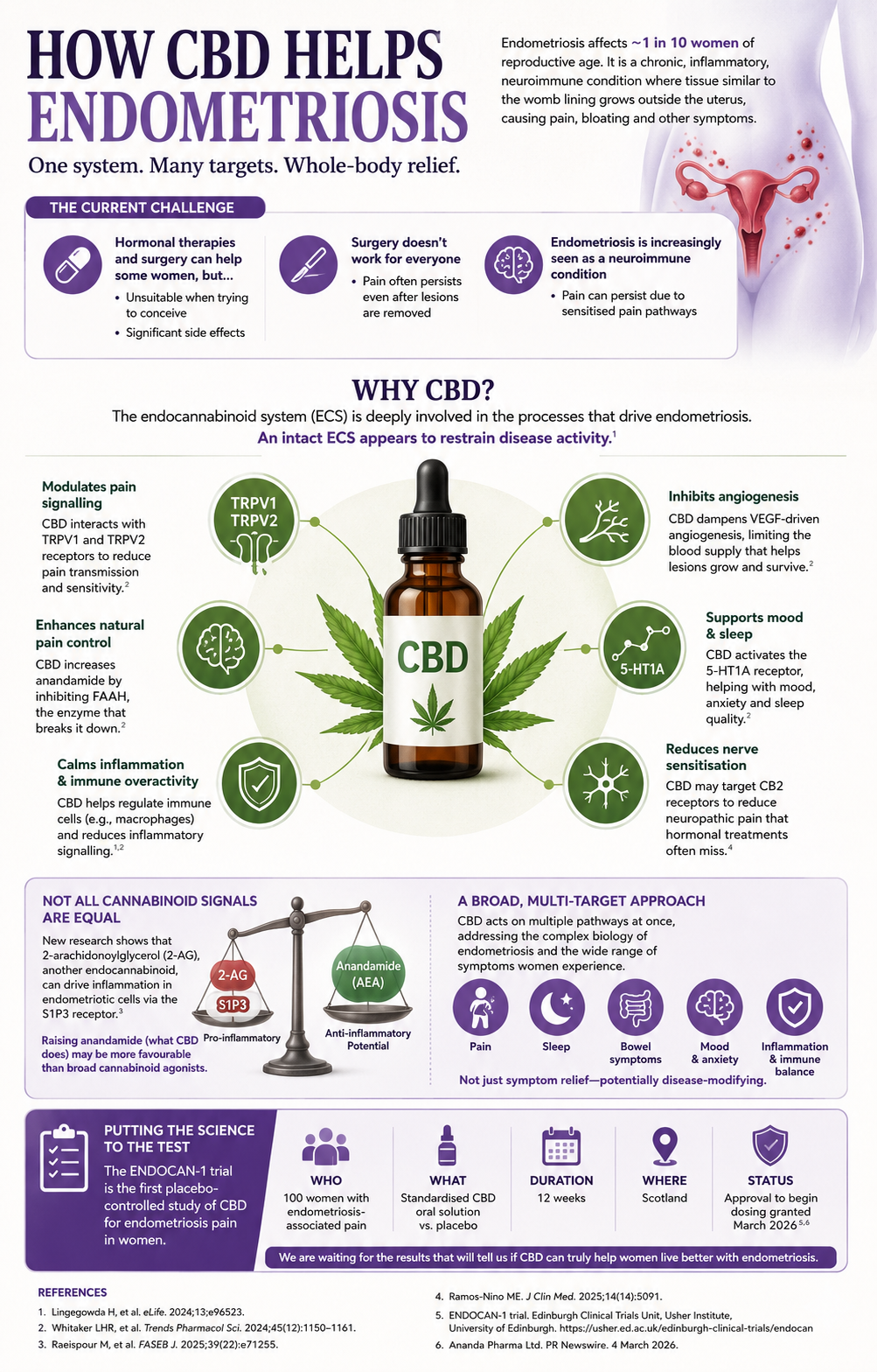 How CBD helps endometriosis: one system, many targets, whole-body relief