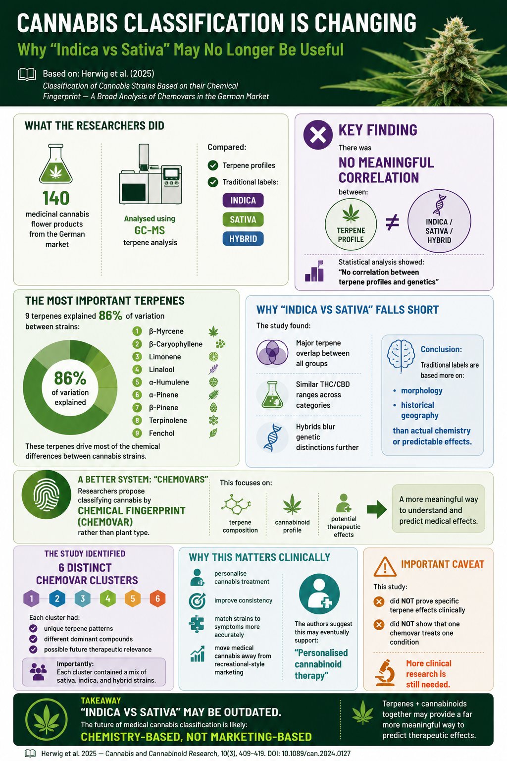 Cannabis classification infographic
