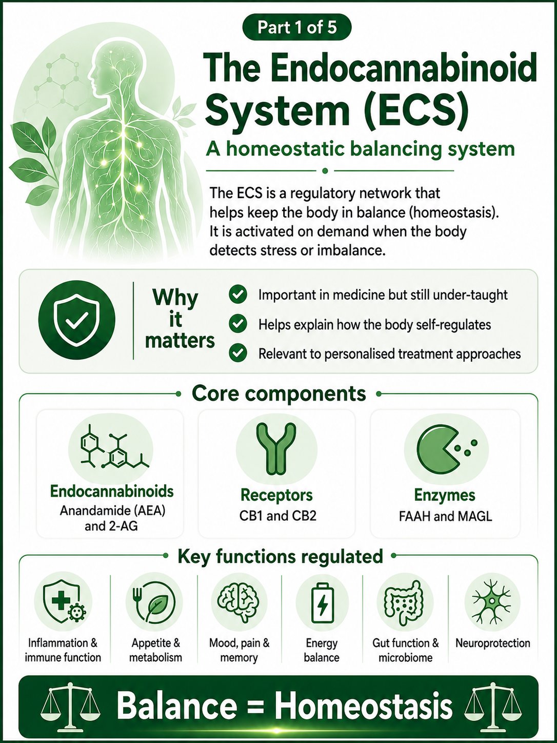 Part 1 of 5: The Endocannabinoid System