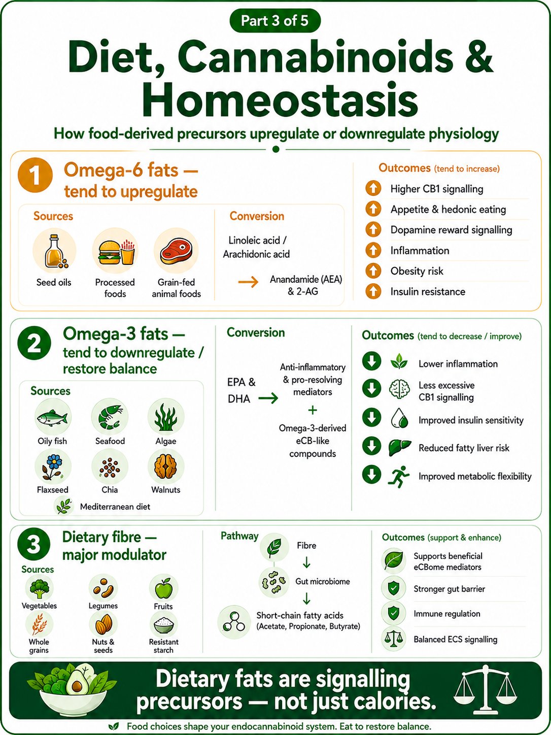 Part 3 of 5: Diet, Cannabinoids and Homeostasis